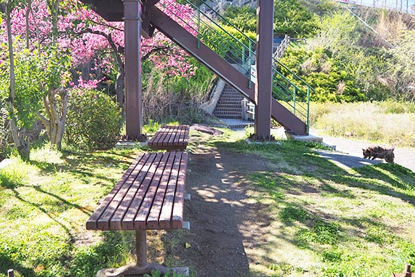 緑地にはベンチがあります。