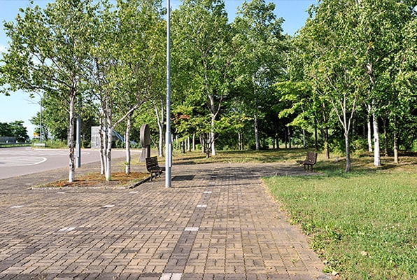 広めの歩道もわんこと一緒に歩くことができますね。