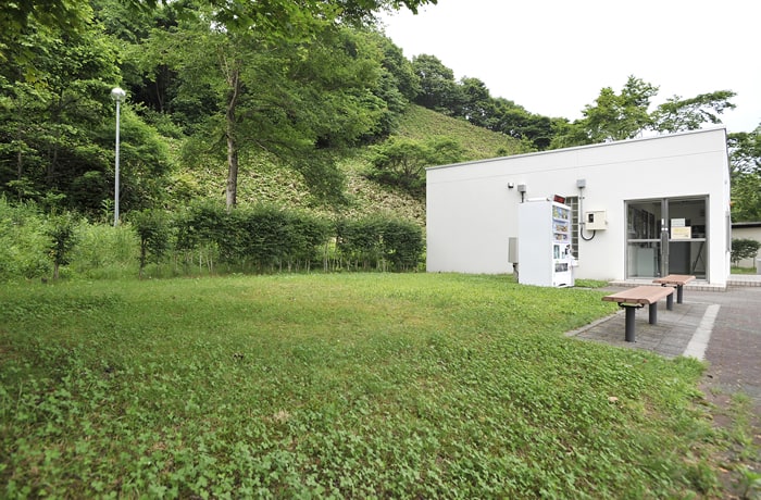 建物隣りに緑地があります。