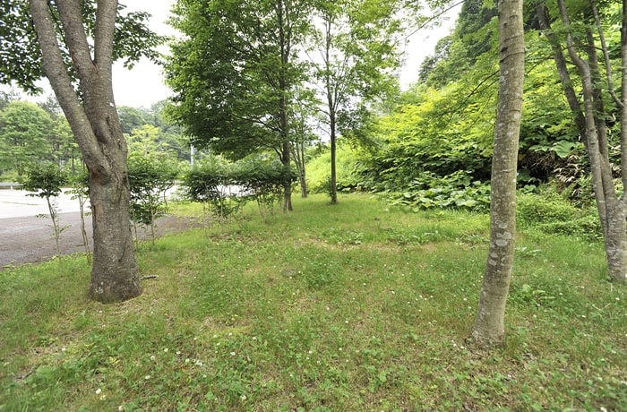 木陰の下でひと休みもいいですね。