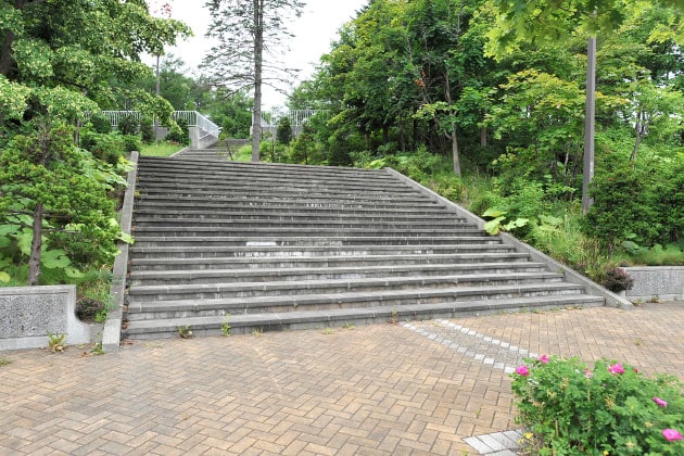 園内は階段もあり、ここを上ると展望台がありますよ。