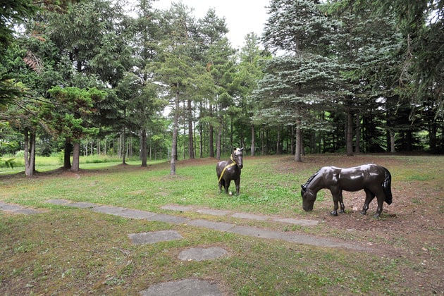 入り口側の緑地にある馬のオブジェは、わんことの記念写真に最適です。