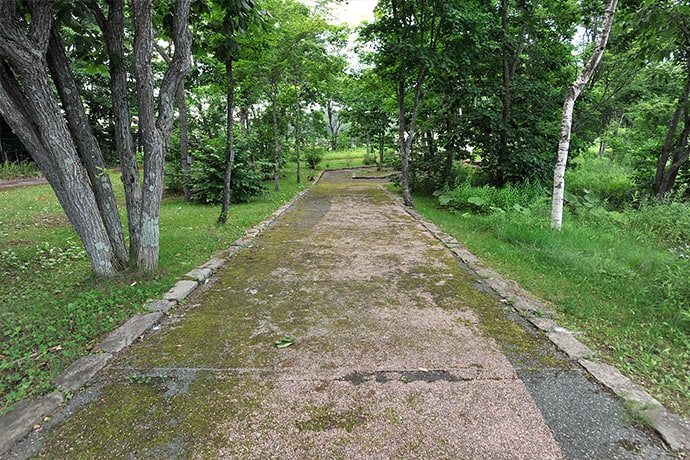 出口側にある遊歩道もお散歩できますね。