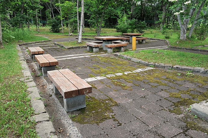 木陰に囲まれ、涼しげですね。