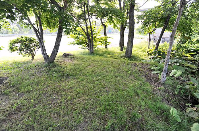 木々が茂る緑地で、わんことお散歩しませんか。