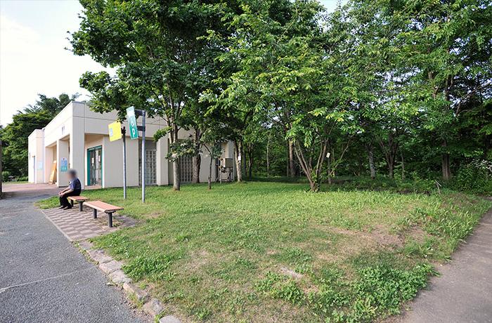 建物の横にある小さな緑地です。
