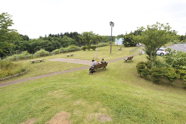 展望台から見える景色。お天気が良ければ遠くまで見渡せます。