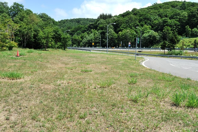 出口側の緑地です。