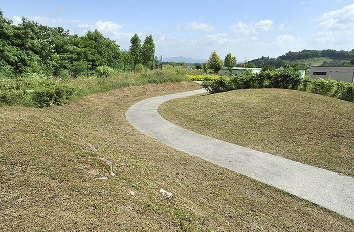 遊歩道もわんこと一緒に歩けますね。