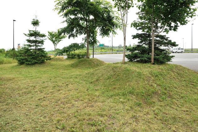 緑地には木が植えてあり、涼しげですね。