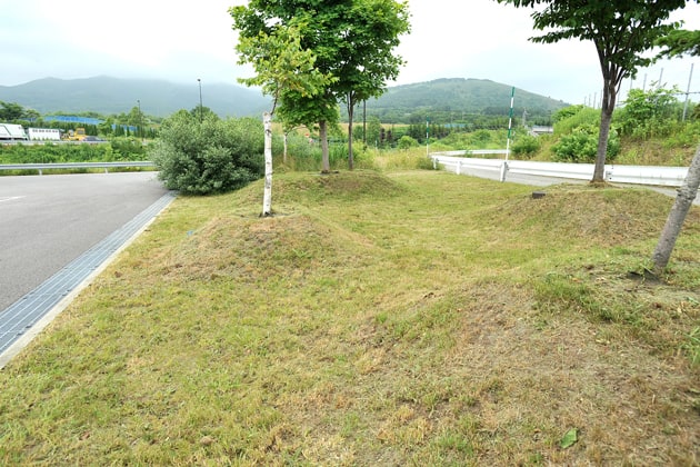 入り口側の緑地です。