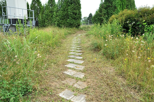 建物の左側からはこのような簡単な散歩道もありますよ。