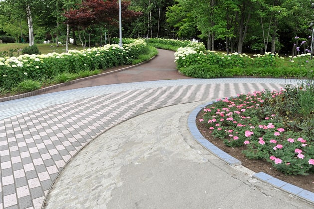 お花で囲まれた遊歩道をわんこと一緒にお散歩しましょう。