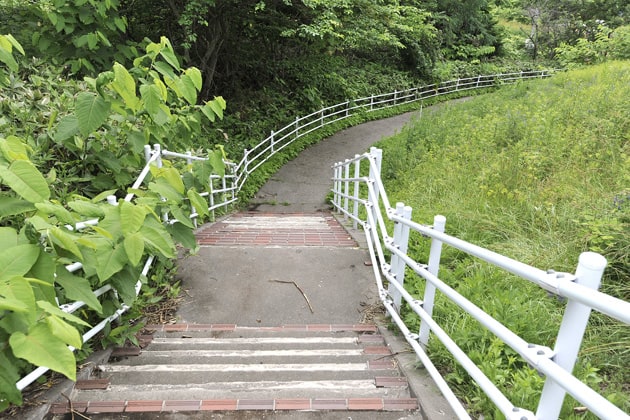 わんこと一緒に遊歩道を歩きましょう。