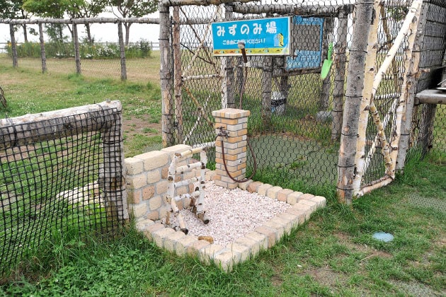 わんこの水飲み場と足洗い場が完備されています。