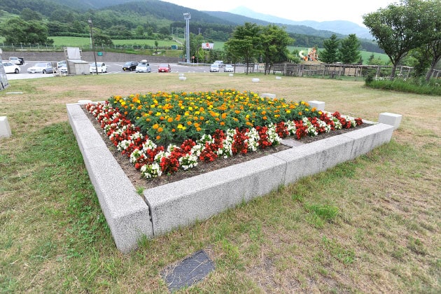 色とりどりのお花がいっぱいです。
