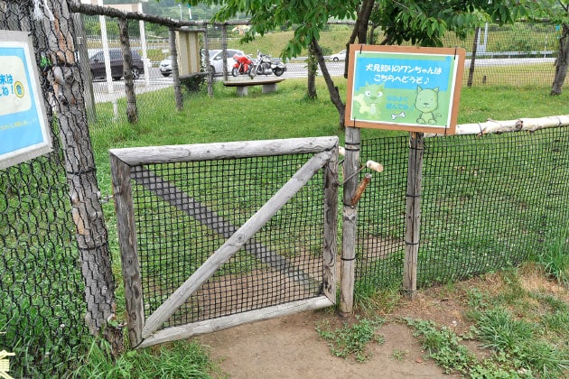 他のわんこと遊ぶのが難しいわんこは柵の向こう側で遊びましょう。