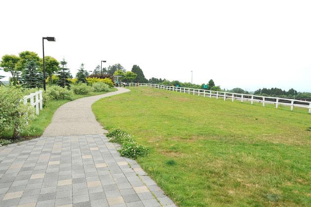 お散歩ができそうな遊歩道があります。