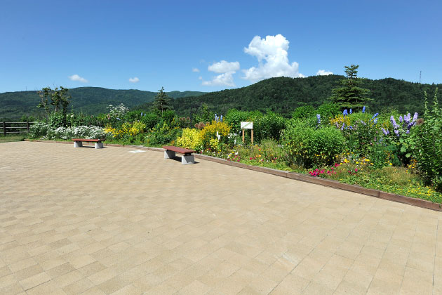 四方を山に囲まれ、多くの花が咲く素敵な風景。