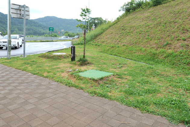 少しですが、緑地もあります。