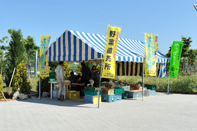 こちらで新鮮な地元野菜が購入できます。わんこと一緒にのぞいてみては？