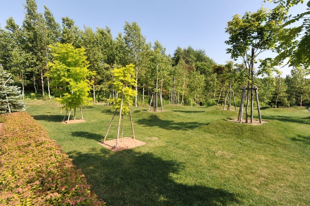 立ち入りできる園内の立木には根元にウッドチップが敷き詰められています。