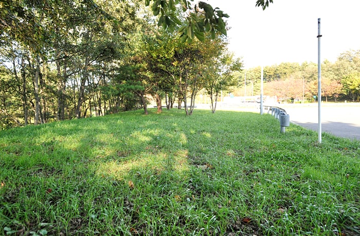 緑地は道路に近いので、注意しましょう。