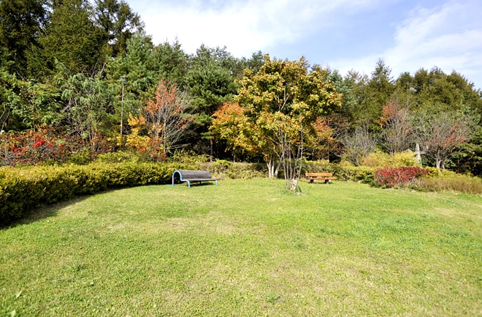 芝生の緑地はわんこの足にもやさしいですね。
