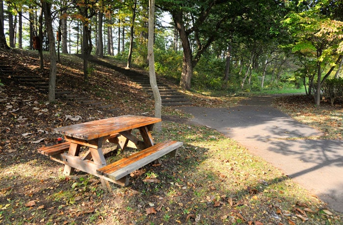 出口側にある、大きい林の中の遊歩道です。