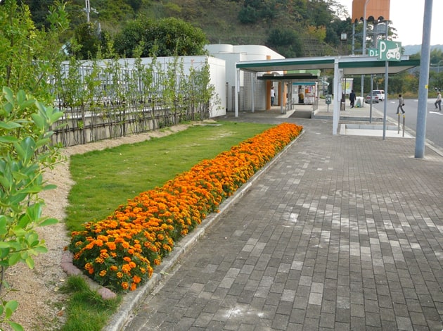少しですが、お花畑と芝生があります。