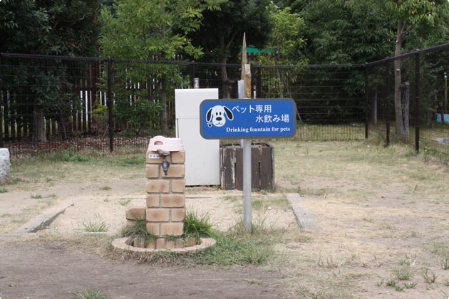 こちらはわんこの水飲み場とトイレです。