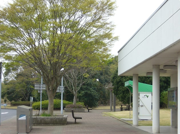 トイレの横に緑地があります。