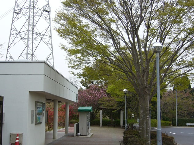 トイレの横にも緑地があります。