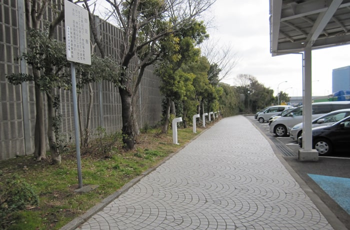 道路に沿ってお散歩できます。