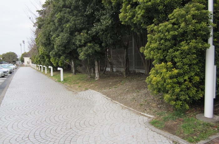 道路が近いので注意しましょう。