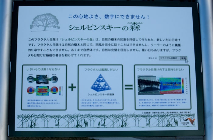 「シェルピンスキーの森」について詳しく知りたい方はこちらを読みましょう！