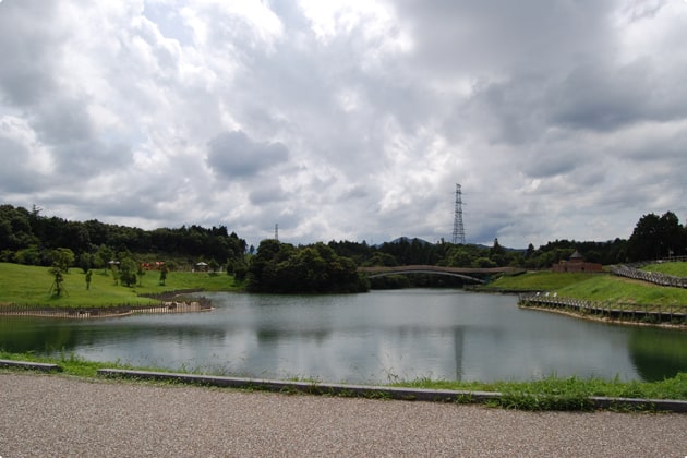 わんこと一緒に池の周りを散策してみましょう。