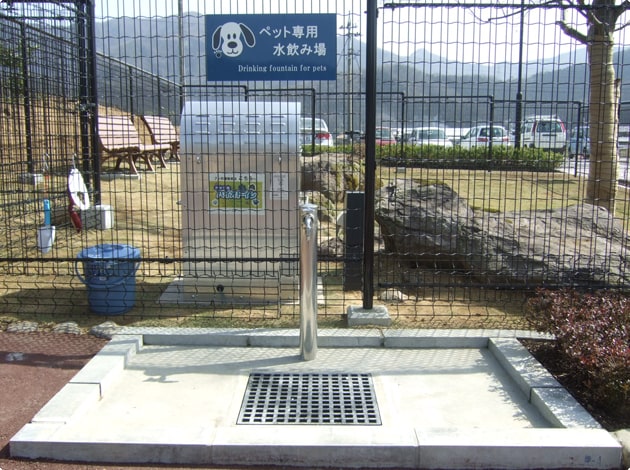 水飲み場も設置されています。