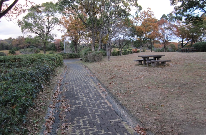 わんことお散歩が楽しめる、緑地と遊歩道。