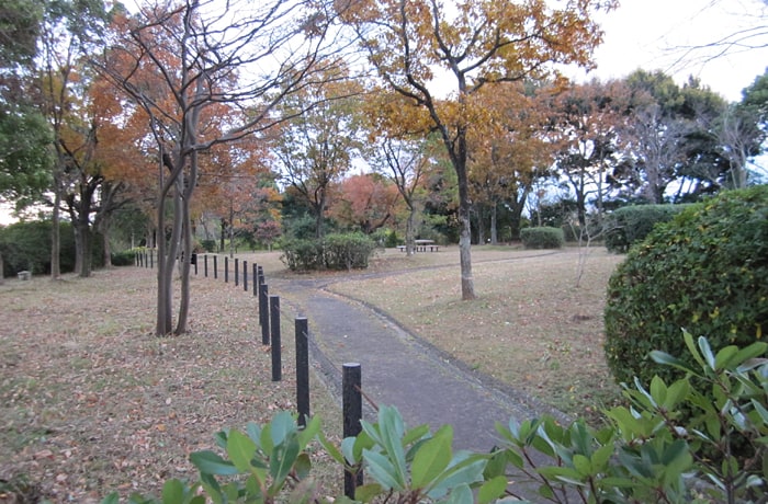 四季を感じながら、わんこと一緒にお散歩できますよ。