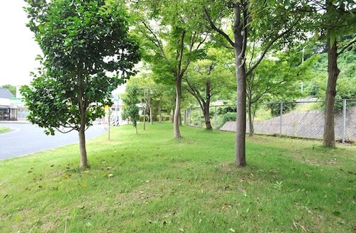 こじんまりとした緑地があります。
