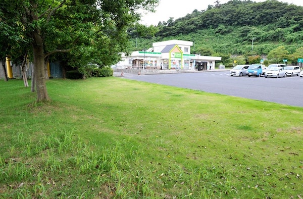駐車場脇にも緑地があります。