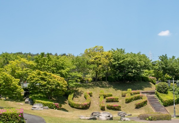 緑地の全景です。