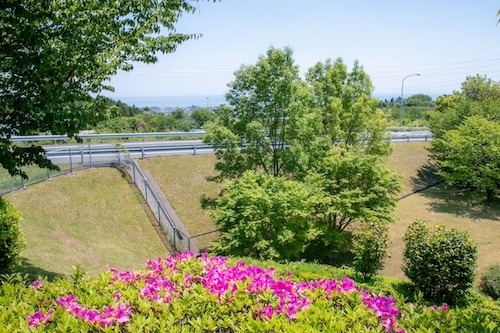 晴れている日は展望台から太平洋が望めます。