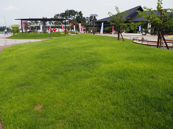 程よい広さの緑地があります。