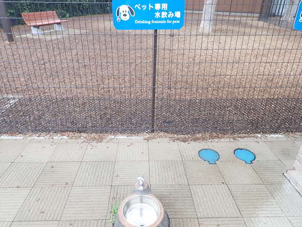 わんこ専用の水飲み場があります。