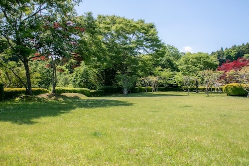 お散歩には十分な広さの緑地があります。