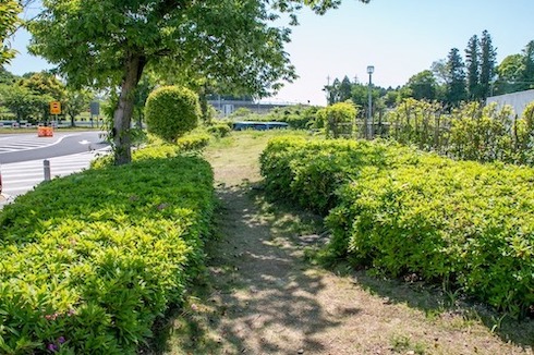 小さめの緑地があります。