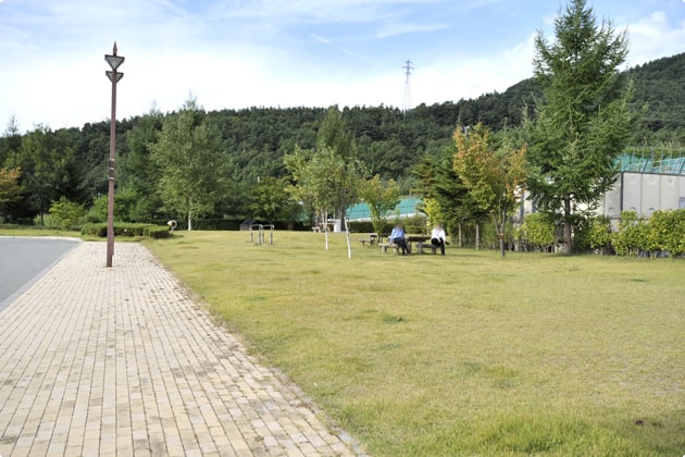 広い入口側の緑地です。