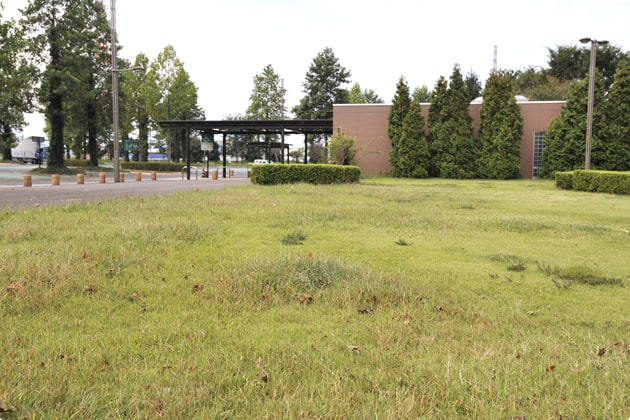 出口側には、広大な緑地がありますので、関越渋滞に入る前のわんことのお散歩に良いですね。